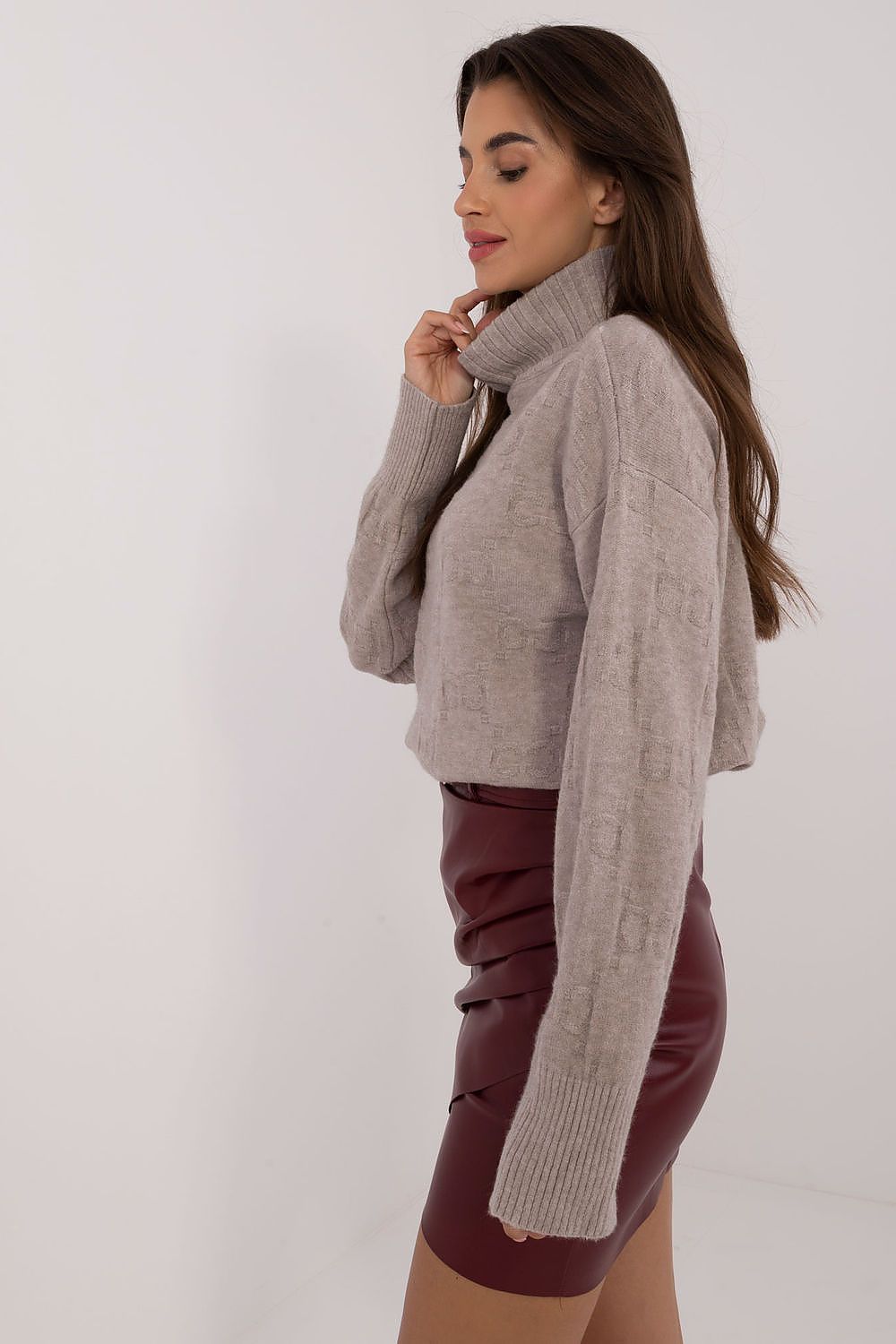  Rollkragenpullover model 199635 AT 