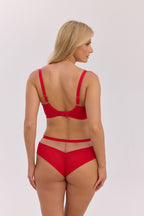  Soft model 222893 Gaia 